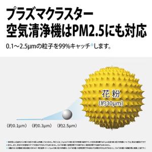 FU-S50-W シャープ 薄型空気清浄機 プ...の詳細画像5
