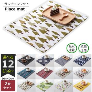 ランチョンマット 2枚セット 撥水 北欧 40×30cm プレースマット