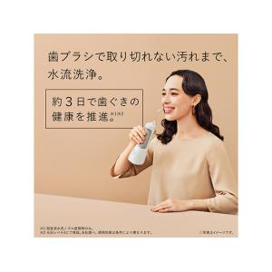 Panasonic EW-DJ55-W 口腔洗...の詳細画像2