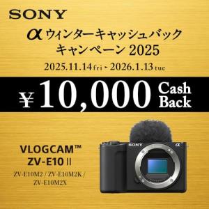 SONY(ソニー) Vlog用カメラ レンズ交...の詳細画像1