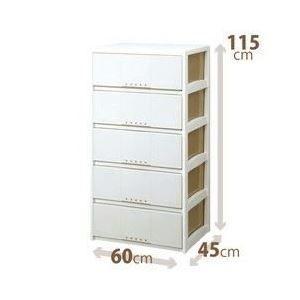 Ds 高額売筋 ルームケース 多目的収納ケース 5段 カプチーノ プロフィックス Ds 日本製 幅60cm 奥行45cm