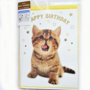 POP-UPバースデーカード　キトゥンクラッカー　誕生日HAPPY BIRTHDAY猫・ねこ｜kaderia