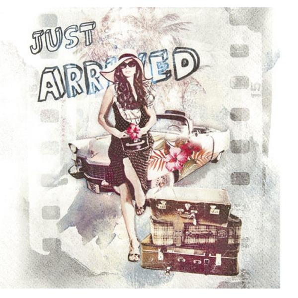 ペーパーナプキン ランチサイズ　2枚入り　[メール便OK]　Just　Arrived　[HOME　F...