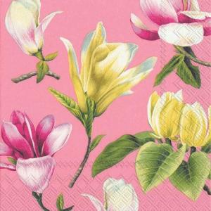 Kaderia マグノリア モクレン 木蓮 花 植物 果物 フラワー フルーツ Yahoo ショッピング