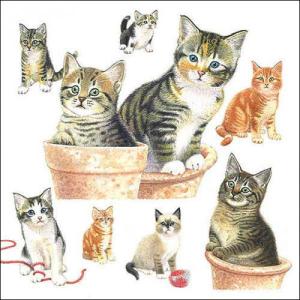 10枚 ペーパーナプキン キュートキトゥン Ambiente アンビエンテ ランチサイズ 白地 ねこ ネコ 子猫 キャット Cat｜kaderia