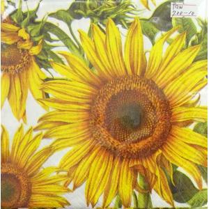 ペーパーナプキン[OK] 向日葵　ひまわり[Paw]2枚入りペーパーナフキン・紙ナプキン・デコパージ