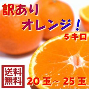 訳ありオレンジ　5キロ（20〜25玉）
