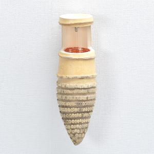 花器 竹 竹器 生け花 二重切(根付） : フラワーショップ花楽 Yahoo!店