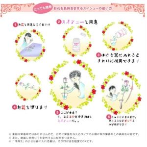 延命剤 水あげ剤 スイシュー 500mlの詳細画像1