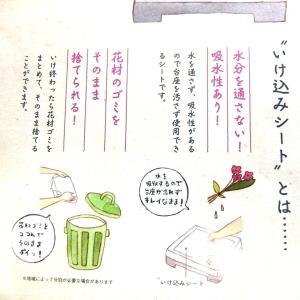 防水いけ込みシート 華道具 生け花用品 練習 お稽古の詳細画像3