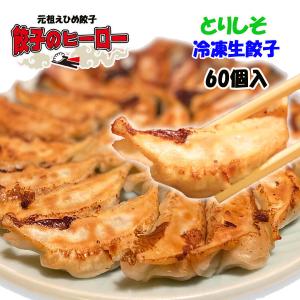 にんにく不使用 とりしそ 餃子 冷凍生餃子 生餃子 元祖えひめ餃子 餃子のヒーロー 60個入 ご当地餃子 愛媛県産餃子 ぎょうざ ギョウザ 保存料不使用 お取り寄せ｜kadota-works