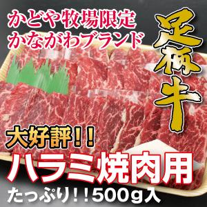 足柄牛ハラミ焼肉用500g 国産牛 焼肉 セット バーベキュー BBQ bbq ブランド ホルモン 牛 肉 牛肉  国産 ギフト 父の日 母の日 パーティー