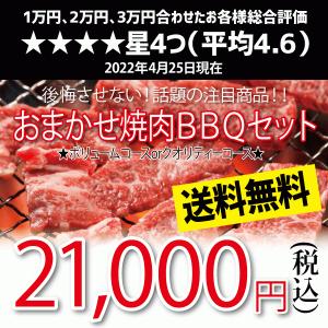 おまかせ焼肉バーベキューセット 21,000円 送料無料 焼肉 セット バーベキュー BBQ bbq ブランド ホルモン 牛 肉 牛肉 ホルモン 国産 ギフト 父の日 パーティー｜kadoyabokujou