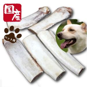 ペット用国産牛バラ骨500g　ペット　ペットフード　ドッグフード　ペットのお肉　犬　愛犬