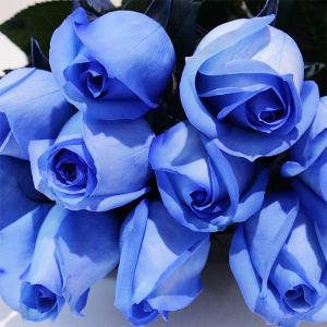 ブルーローズ ラズリ 花束 10本 生花 ナチ...の詳細画像1