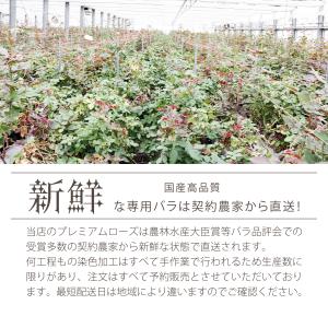 生花 橙色バラ オレンジローズ Mサイズ 選べ...の詳細画像4