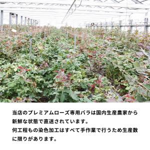 ブルーローズ アイス 花束 追加用オプション ...の詳細画像2