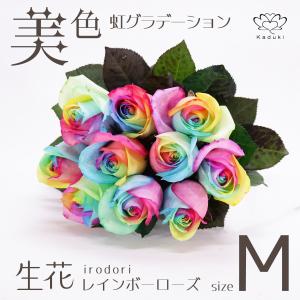 レインボーローズ イロドリ 花束 追加用オプション 生花 バラ