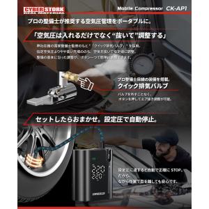 CYBERSTORK(サイバーストーク)日本ブ...の詳細画像5