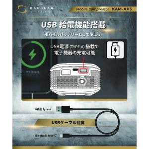 電動 空気入れ 車 バイク 自転車 エアーポン...の詳細画像5
