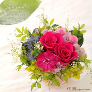 サウンドアレンジ 【楽天ランキング1位】ケース入りレインボー