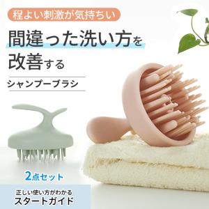 ELECTRON（エレクトロン） 【正規品】デンキバリブラシ 電気バリブラシ