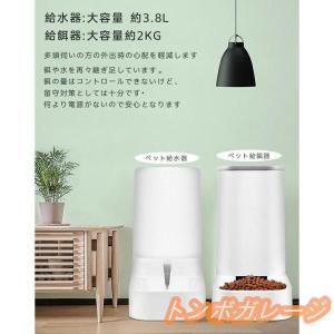 給餌器 給水器 猫 犬 ペット給餌器 自動餌や...の詳細画像2