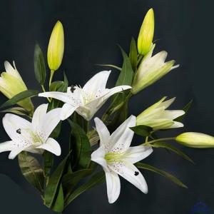 人工ユリラテックス偽の花とセラミック花瓶結婚式...の詳細画像1