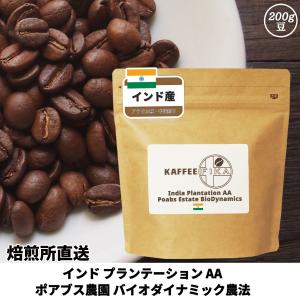 東南アジア原産の焙煎済みコーヒー豆 アラビカ種100g ロブスタ種100gの