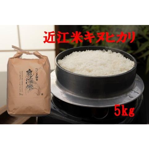 送料無料！令和5年産　特別栽培米「キヌヒカリ」　５ｋｇ　