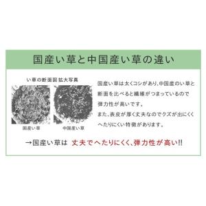 キッチンマット270cm滑りにくい加工国産い草...の詳細画像4