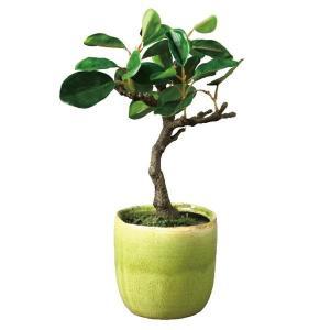 ミニ盆栽 人工観葉 フェイクグリーン の商品一覧 花 ガーデニング 通販 Yahoo ショッピング