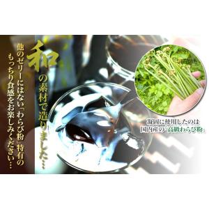 訳あり ミルク無し 金澤珈琲の生ジュレ 単品4個 ご自宅用お試し メール便 ポスト投函 コーヒーゼリ...