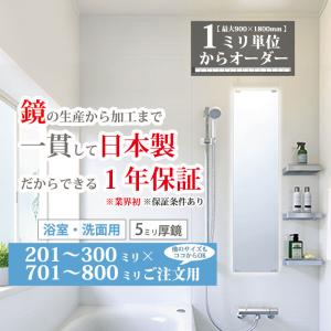 浴室ミラー サイズ オーダー 浴室鏡 洗面 交換 日本製 高品質ガラス 201-300 mm × 701-800 mm ご注文用 大阪 鏡販売 1年保証