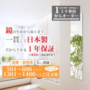 ダンス用 鏡 姿見 全身 壁掛け オーダーミラー...の商品画像