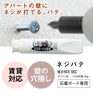 DIY 壁 ネジ 固定 パテ ねじパテ 鏡の壁掛け用
