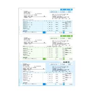 BSLシステム研究所 BH-1007 納品書(A4三面付き単票6穴) 500枚入