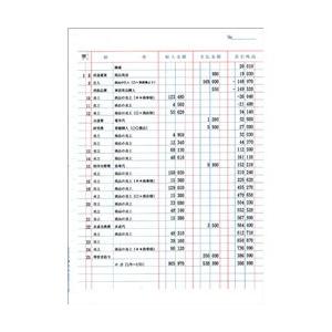 BSLシステム研究所 BS-3002 現金出納帳 500枚入