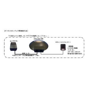 ソフトアンドハード STR-LTB2 LEDス...の詳細画像2