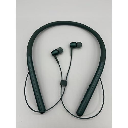 ソニー ワイヤレスイヤホン h.ear in 2 Wireless WI-H700 : Blueto...