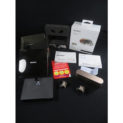 ソニー 完全ワイヤレスノイズキャンセリングイヤホン WF-1000X : Amazon Alexa搭...