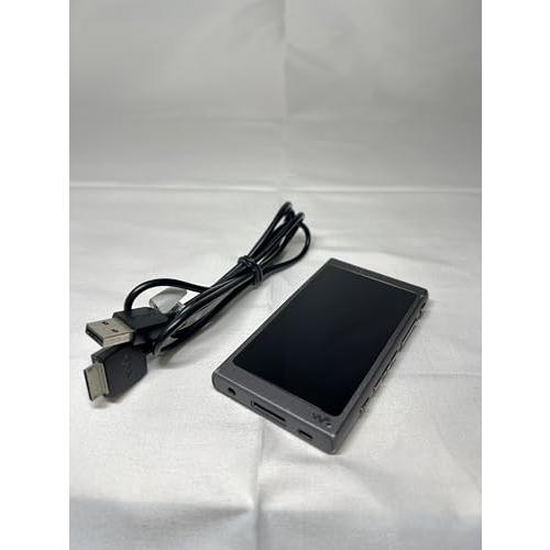 ソニー ウォークマン Aシリーズ 16GB NW-A45 : Bluetooth/microSD/ハ...