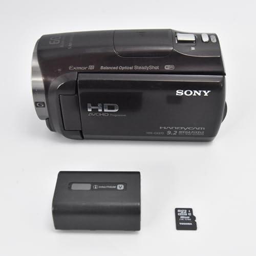 SONY HDビデオカメラ Handycam HDR-CX670 ボルドーブラウン 光学30倍 HD...
