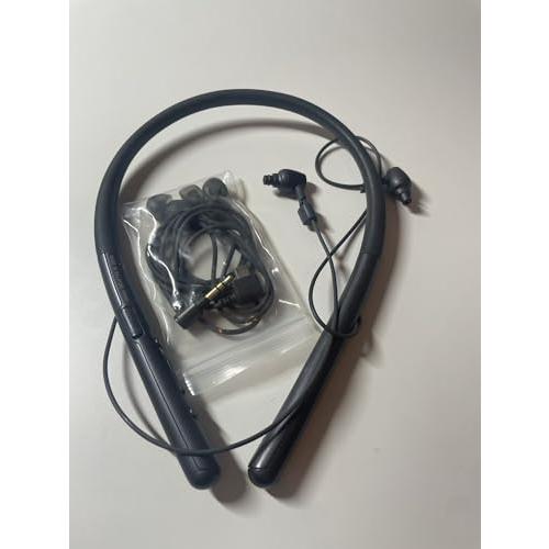 ソニー ワイヤレスイヤホン h.ear in 2 Wireless WI-H700 : Blueto...