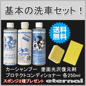 マイエターナル　カーシャンプー　塗面光沢復元剤250ml　プロテクトコンディショナー　スポンジ２種プレゼント