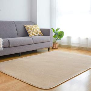 VK Living カーペット ラグ ラグマット 絨毯 185×185cm 洗える 滑り止め付 防ダニ 抗菌 防臭 1年中使えるタイプ 床暖