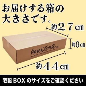 【ギフト仕様】らあめん花月嵐 箱入り嵐げんこつ...の詳細画像2