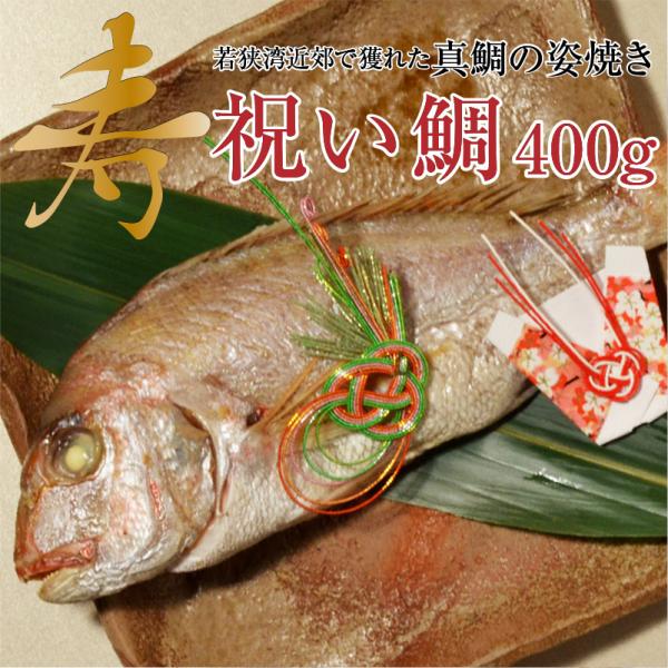 ギフト対応 祝い鯛（約400ｇ）若狭湾で水揚げされた真鯛を焼き上げてお届け お祝い お返し お慶び ...