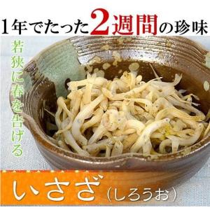 【予約開始です・例年3月中旬〜順次発送】日本に春を告げる・若狭のいさざ（シロウオ）の京風煮　籠入り　約200g【今だけの味わい】【NE】｜kagimagotsudamagobei