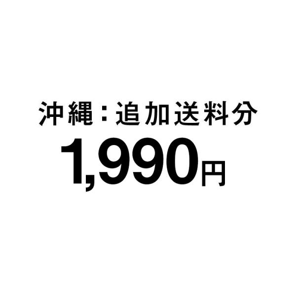 沖縄 追加送料分1990円